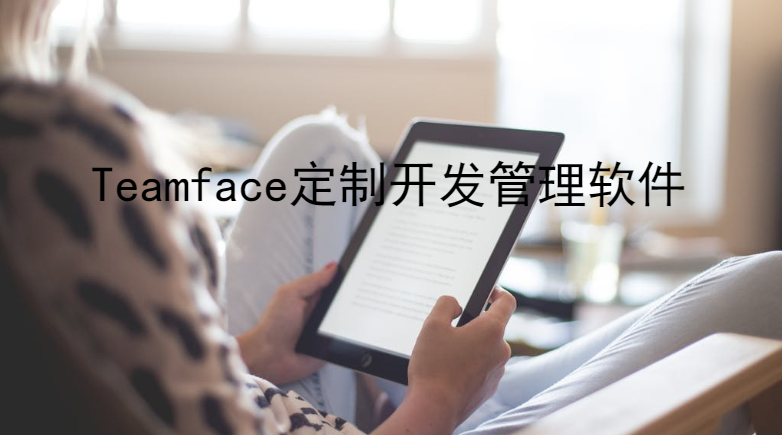 Teamface定制开发管理软件