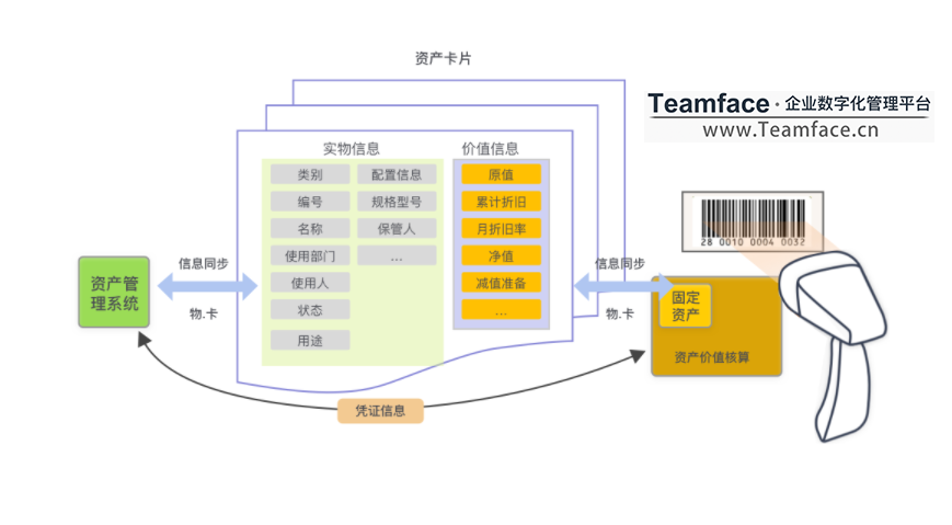 集体企业如何进行企业资产管理？