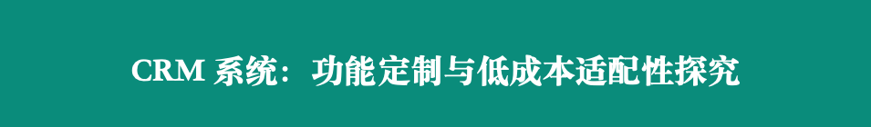 CRM系统：功能定制与低成本适配性探究