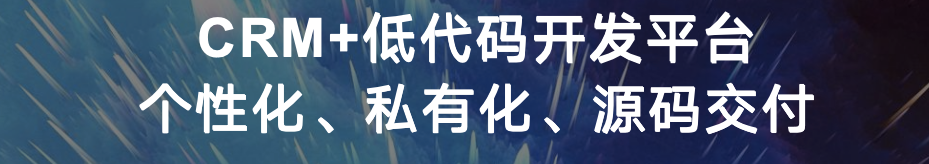 CRM系统：本地化部署低代码赋能快速构中小微企业CRM客户管理